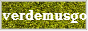 Banner Verde Musgo